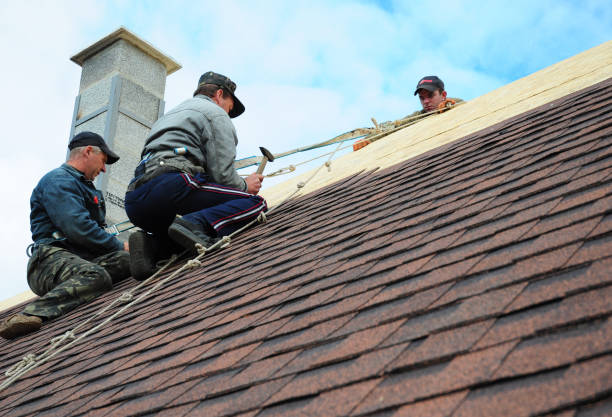 Best Roof Gutter Cleaning  in Granite Hills, CA